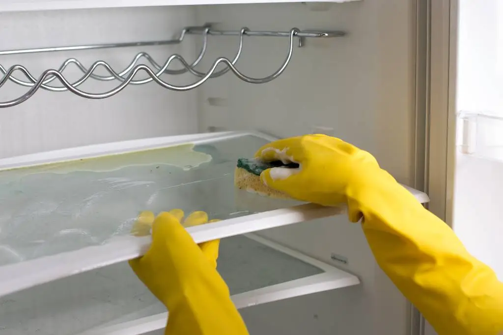Cheltenham Cleaners-inside-fridge-cleaning-service