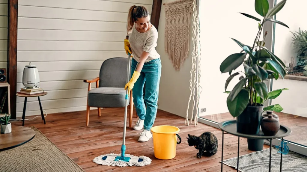 Should a Tenant Clean Before Leaving?